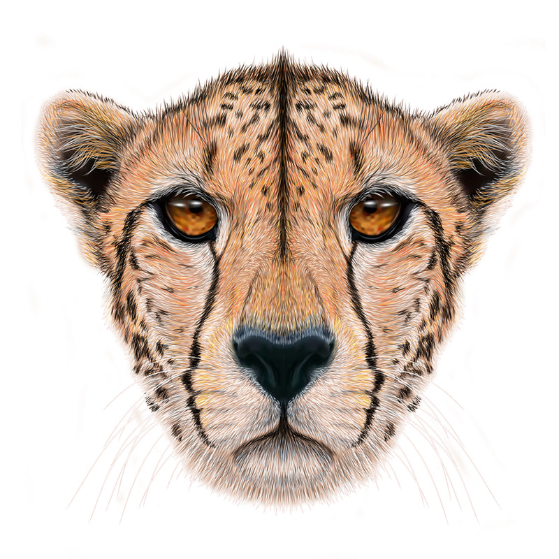 Load image into Gallery viewer, 135 Piece Wooden Jigsaw Puzzle, Cheetah
