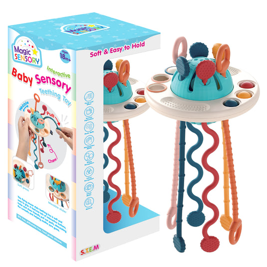 Interactive Baby Sensory Teething Toy