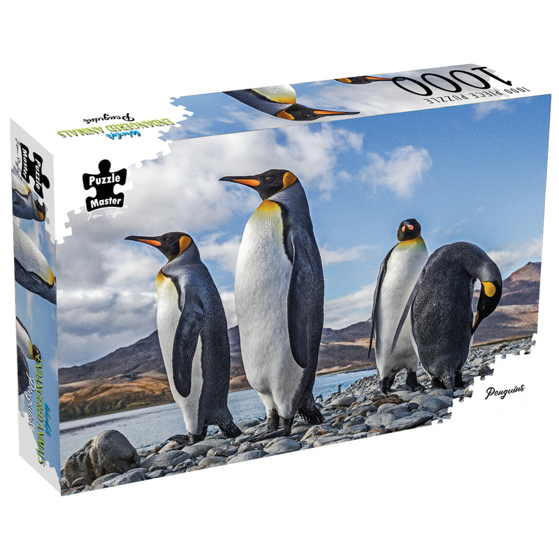 Load image into Gallery viewer, Penguins
