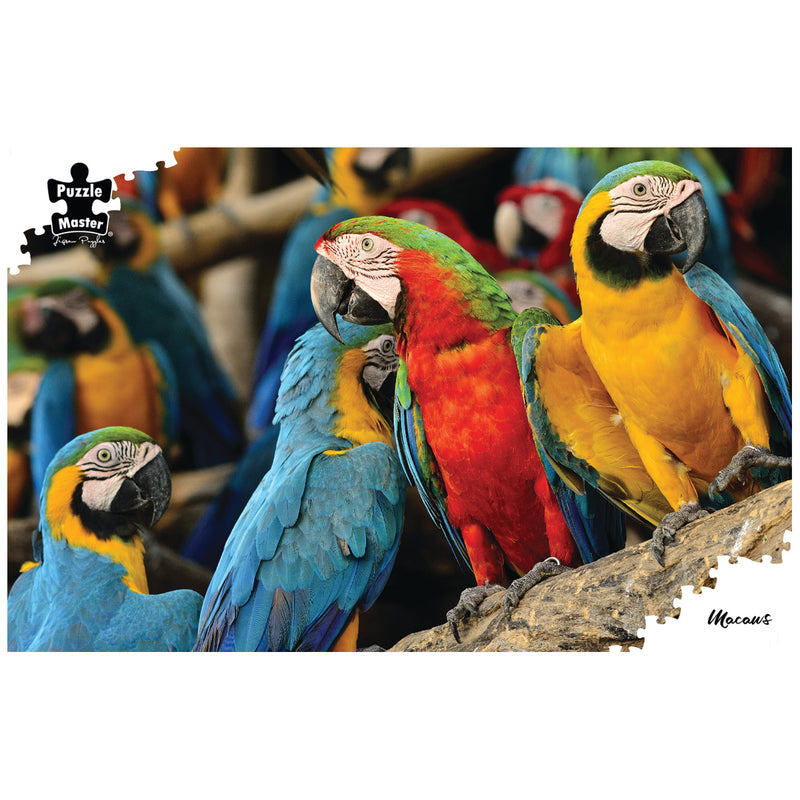 Load image into Gallery viewer, Macaws
