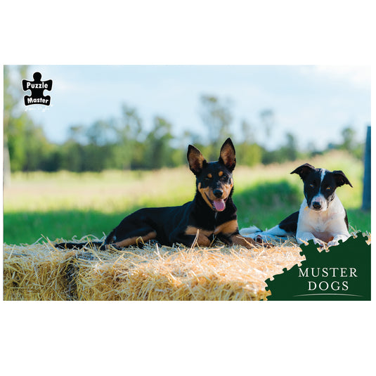 Muster Dogs Best Mates
