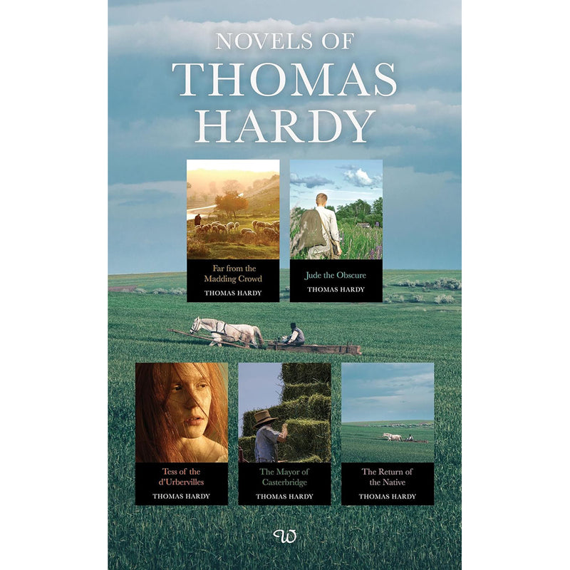 Load image into Gallery viewer, Novels of Thomas Hardy
