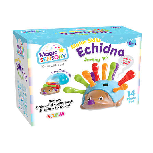 Fine Motor Skills Echidna