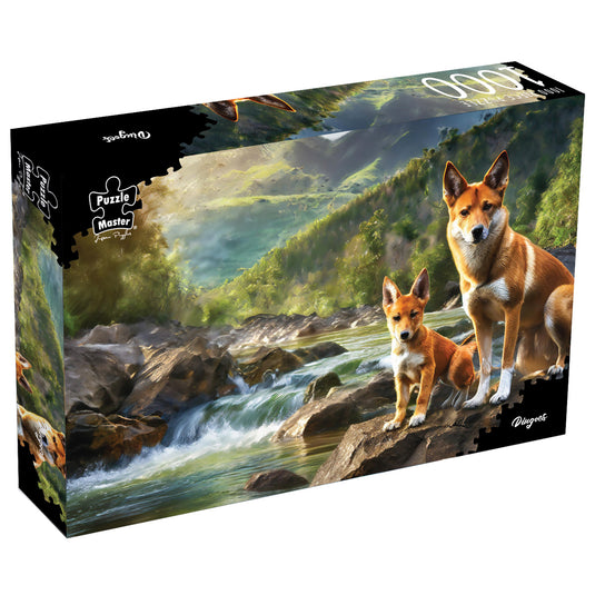 Dingoes