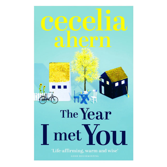The Year I Met You