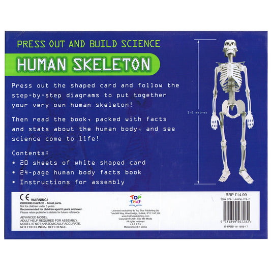 Press Out And Build - Human Skeleton
