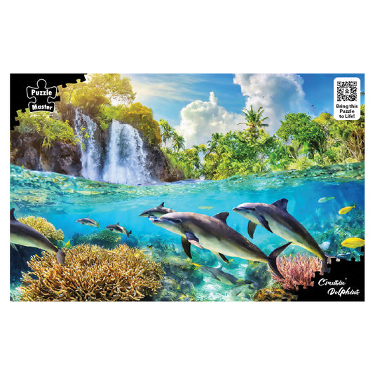 Crusin' Dolphins - view 6
